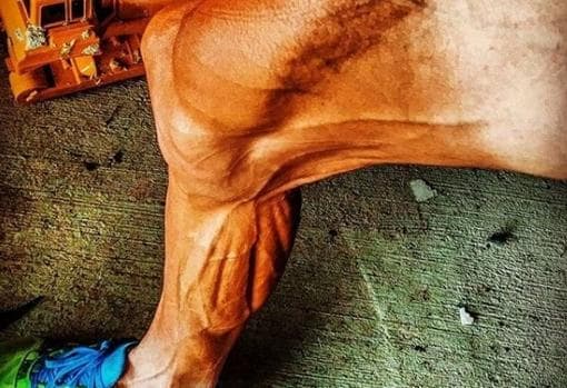 El asombroso estado de las piernas de Janez Brajkovic tras su sanción por dopaje