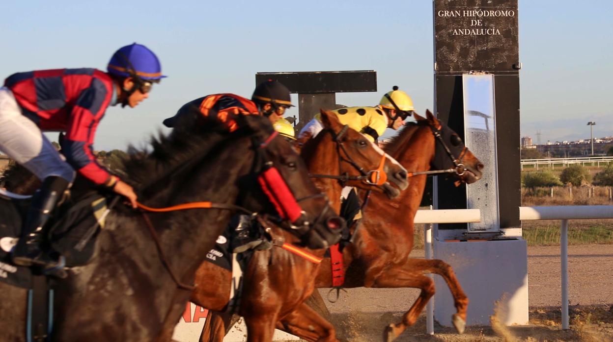 Tres jockeys entran a meta con sus caballos en una de las carreras de ayer