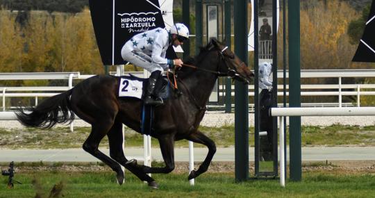 «Furioso» ganando el Premio Fernando Melchor (7ª carrera)