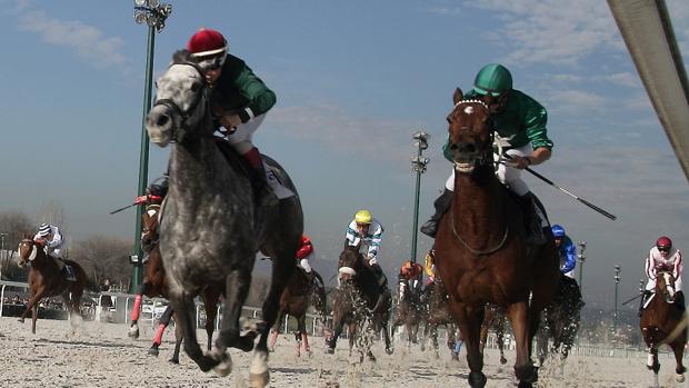 Planazo en el Hipódromo de La Zarzuela, con el «Family Day Navidad»