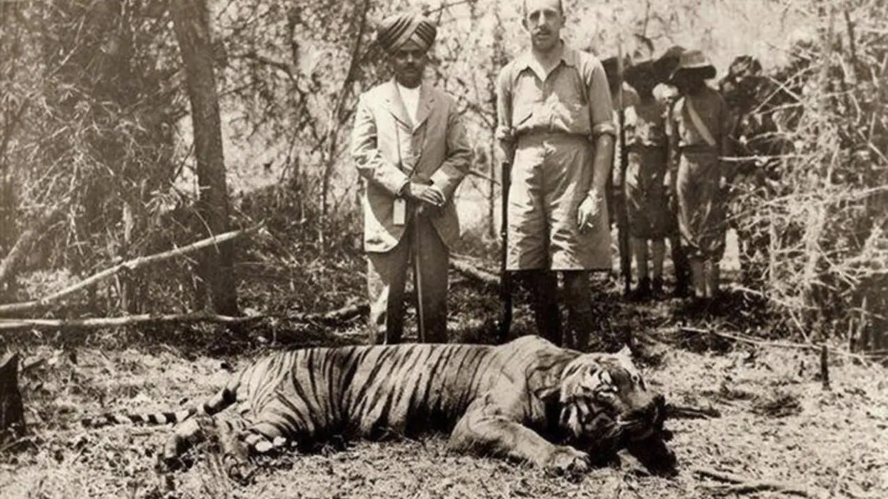 El Rey Alfonso XIII posa junto al marajá de Mysore ante un enorme tigre macho en una cacería en la India en 1933