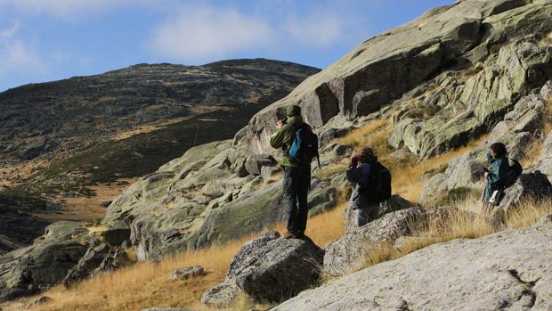 Sierra de Gredos, el feudo de la cabra montés