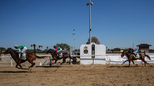 Las Carreras de Caballo 2020 de Pineda se celebrarán el Día de Andalucía