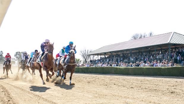 Arrancan las carreras de caballos en el hipódromo del Club Pineda