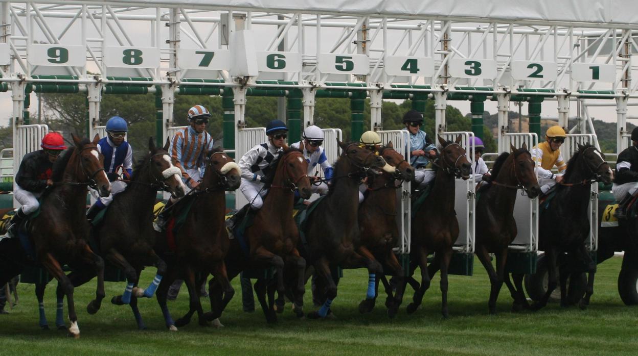 Salida de una carrera en el Hipódromo