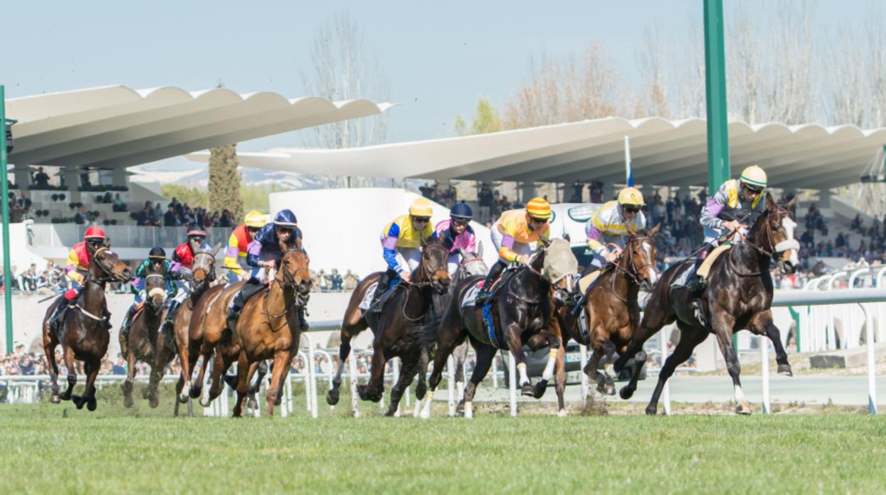 El Hipódromo se multiplica