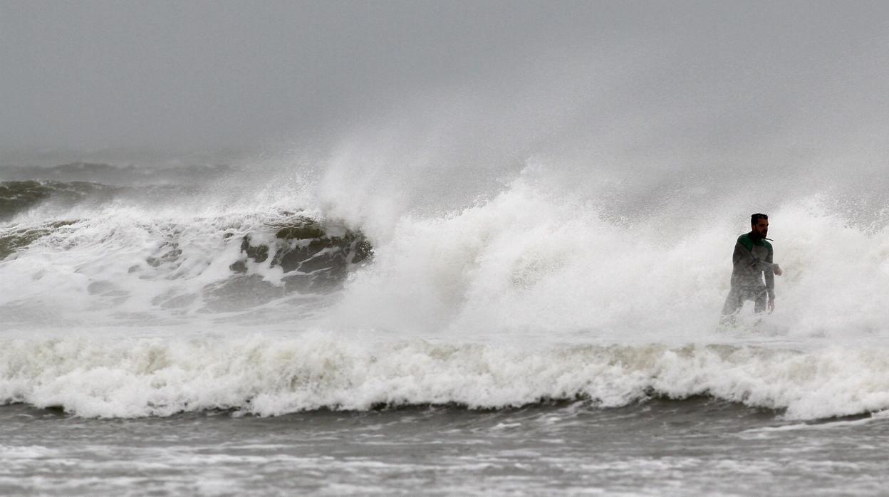 Un surfista muere en Santa Cruz tras el ataque de un tiburón