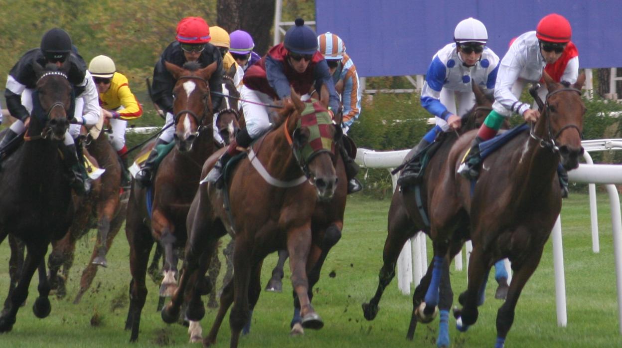 Carrera de caballos en el Hipódromo de la Zarzuela