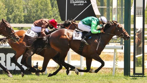 'Rodaballo' y 'Pravia' se coronan en el Hipódromo de Madrid