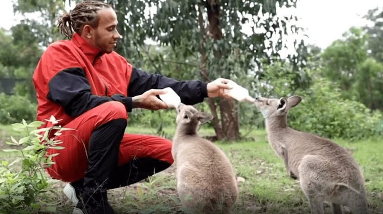 El activista Lewis Hamilton