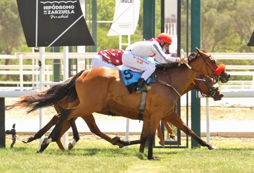 "Recuerda" venciendo la cuarta carrera en el Hipódromo de la Zarzuela Carrera