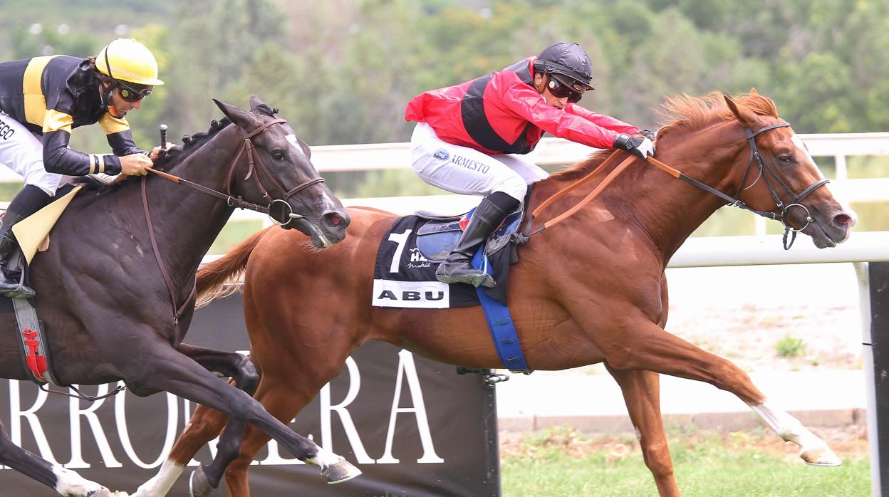 Abu, ganador del Gran Premio Villapadierna-Derby Español