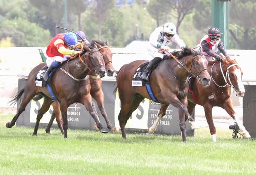 El Guanche, ganador del Gran Premio Urquijo