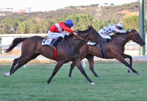 "MUGUETAJARRA" 1ª Carrera