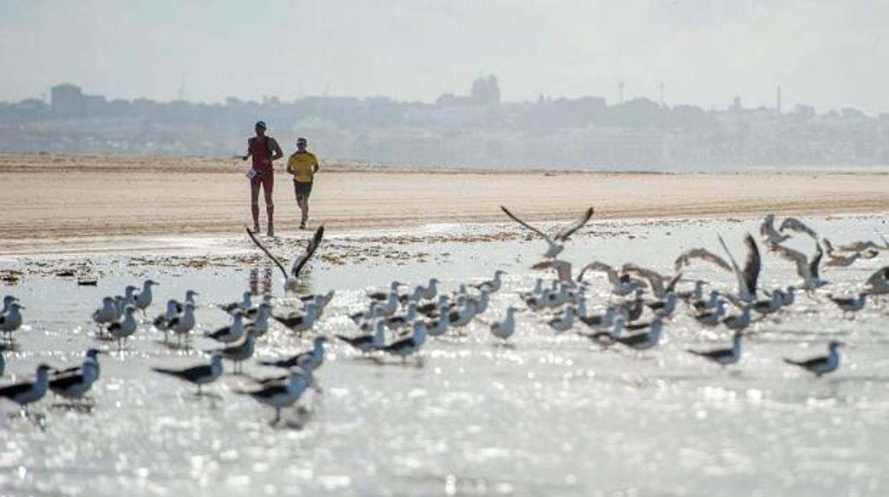 El próximo Desafío Doñana se llevará a cabo de forma virtual.