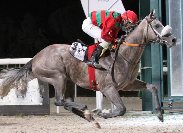 Continúan la emoción y la diversión en las noches del Hipódromo