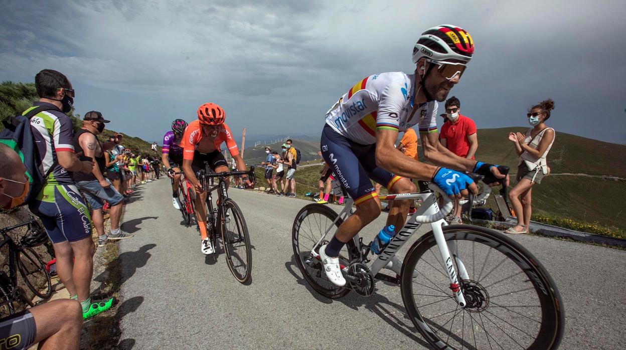 Álejandro Valverde, este julio en la Vuelta a Burgos