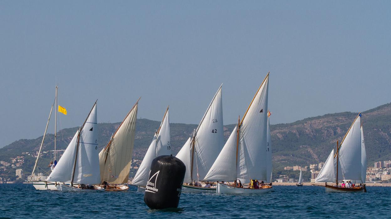 La XXIV Diada de Vela Latina exhibe a la mejor flota tradicional de Mallorca