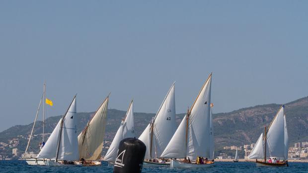 La XXIV Diada de Vela Latina exhibe a la mejor flota tradicional de Mallorca