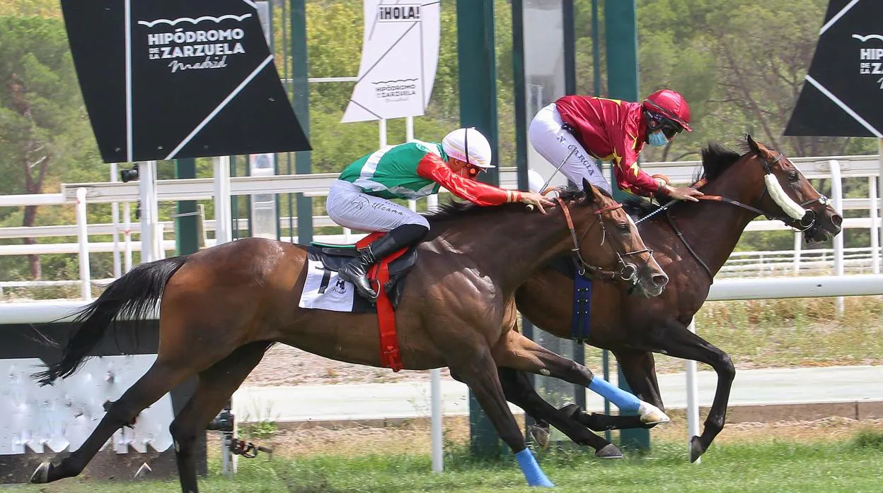 Noray», con una espectacular monta de Nieves García, vence de punta a punta  en el «Gran Premio Duque de Alburquerque»