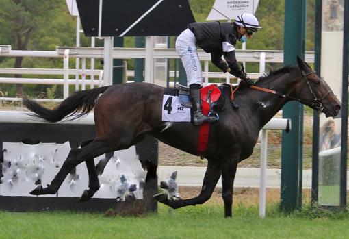 King Lud ganó el Premio Faramir