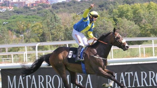 'Stelvio' vence con autoridad en el Gran Premio Villamejor, con 'Navia' en segunda posición