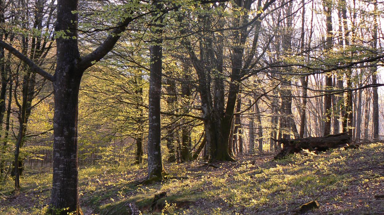 Para el cazador, los paisajes no son estáticos ambientes objeto de una simple contemplación estética