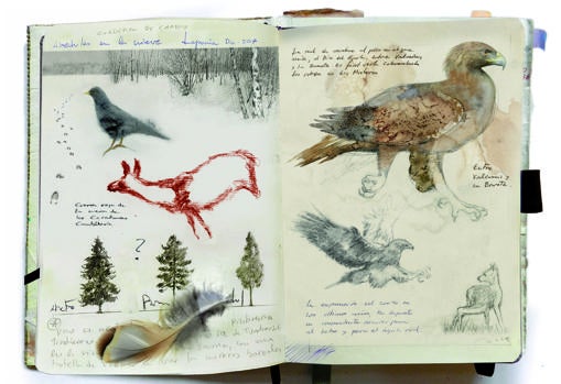 Cuaderno de campo con dibujos del águila real, chova piquigualda y un boceto de una de las ciervas rojas de la cueva cántabra de Covalanas 