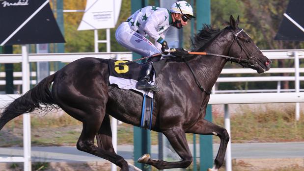 El «Afterwork» de los viernes triunfa en el Hipódromo de Madrid