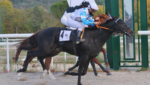 Continúa el éxito del «Afterwork» de los viernes en el Hipódromo de Madrid