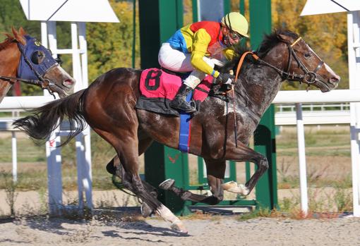 Tannhauser ganó la cuarta carrera, el Premio King Cobra