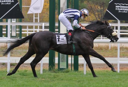 Baciver, ganador del Premio Victoria Eugenia, primera carrera del domingo