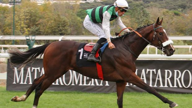 «Domi Go» se corona como mejor potro de dos años, tras pasearse en el Gran Criterium