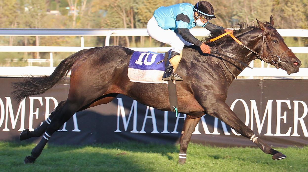 «Maravedí» - 4ª carrera «Premio José Javier Herreros de Tejada»