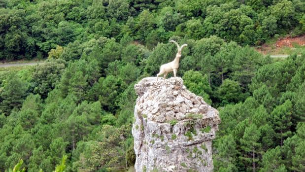 Tortosa-Beceite: la cabra montés, protagonista