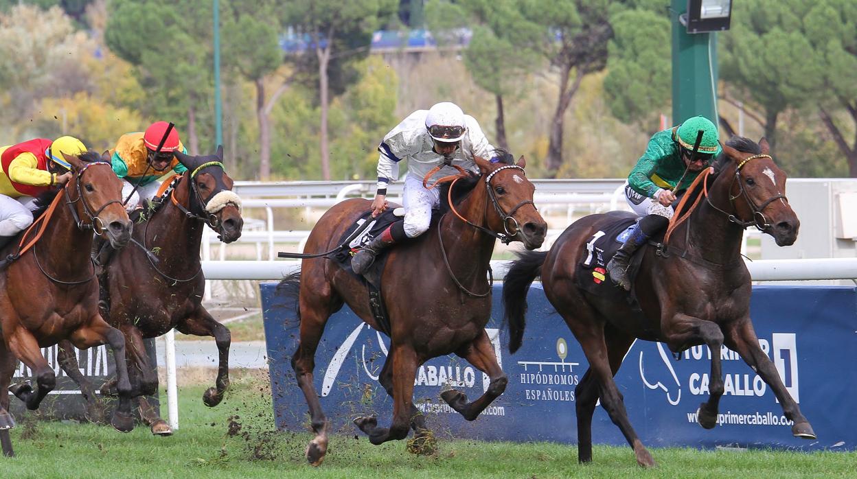 Tronío ganó el Gran Premio Nacional