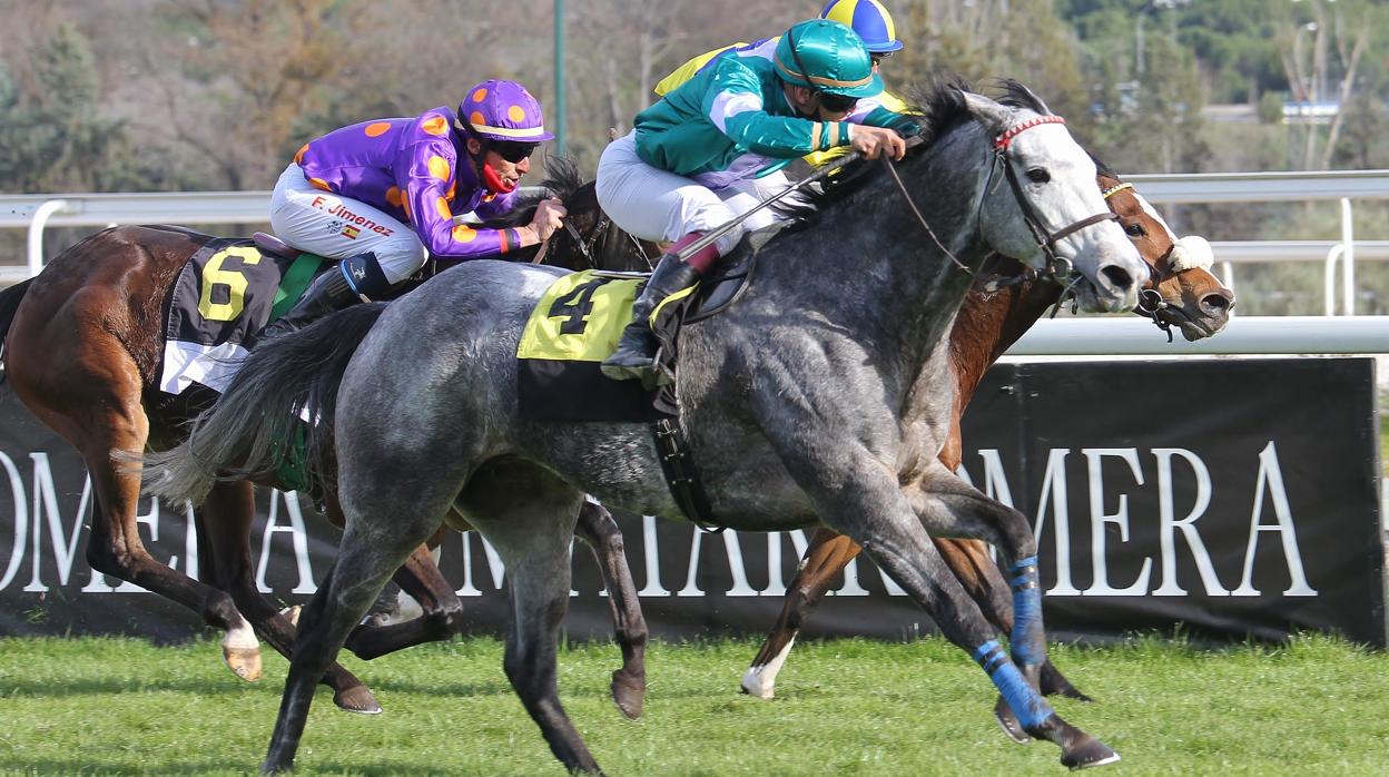 Tihanna ganó el Premio Chacal, cuarta carrera de la mañana