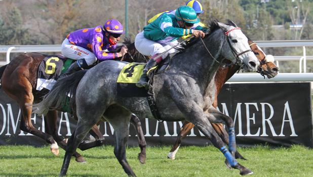 Gran jornada de domingo en el Hipódromo de Madrid