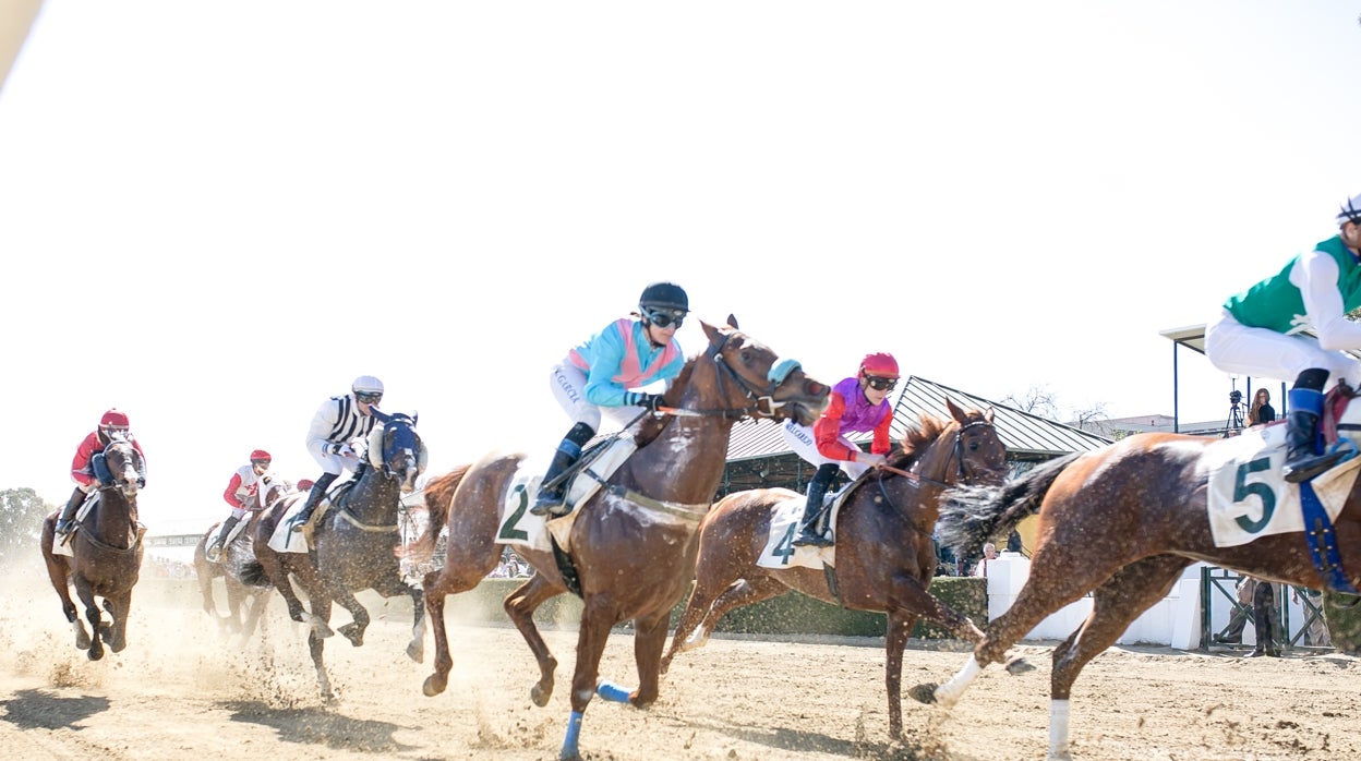 Desarrollo de una carrera de caballos en Pineda