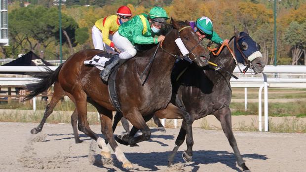 Llega la Navidad al Hipódromo de Madrid