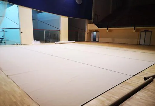 Dos nuevos tapices de gimnasia rítmica en el Ciudad de Cádiz