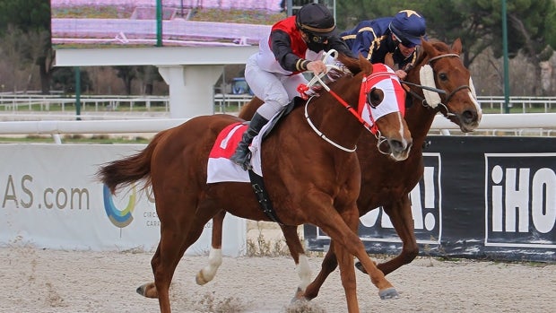 La jornada de «Family & Friends» despide el año en el Hipódromo de Madrid