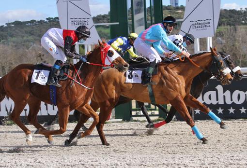 "TACIO" - 3ª CARRERA "PREMIO HIPÓDROMO DE ANDALUCÍA - DOS HERMANAS"