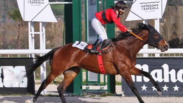 Éxito de la penúltima jornada invernal en el Hipódromo de Madrid