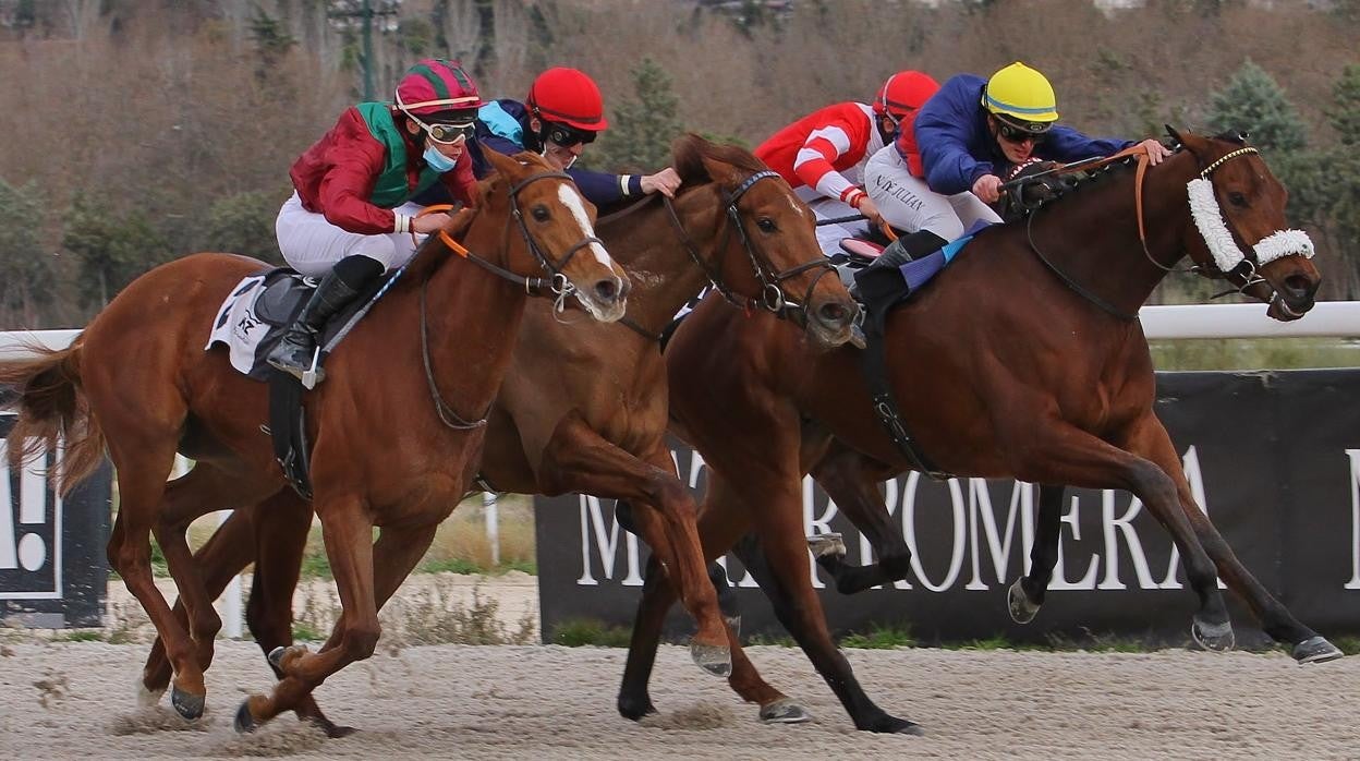 El Hipódromo de Madrid pone fin a la temporada de invierno