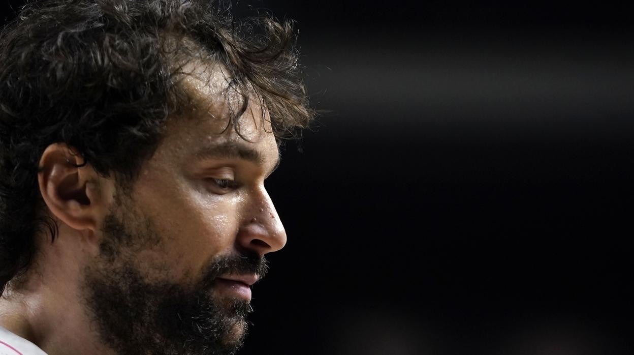 Sergio Llull, jugador del Real Madrid