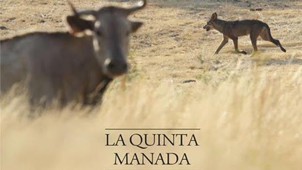 'La Quinta Manada', una visión realista sobre los lobos