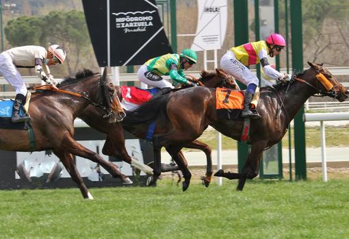 Arenal, ganador del Premio Luis de Goyeneche