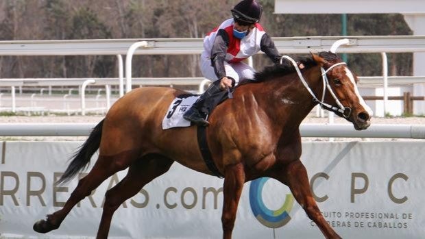 'Maracay' y 'St Peters Basílica', brillantes ganadores del Opcional y Fernán Núñez