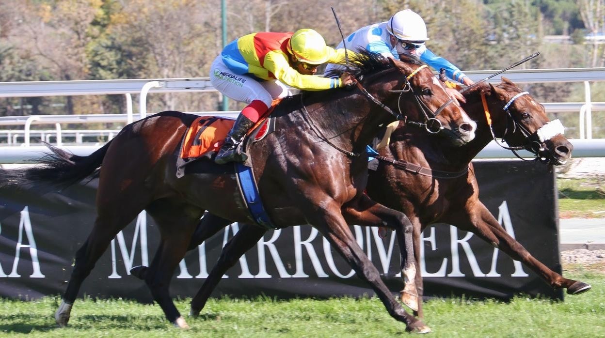 Carreras de caballos en el Hipódromo de la Zarzuela